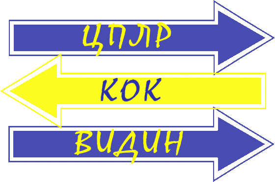 ЦПЛР КОК — Видин